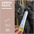 خمیر مالت گربه جیم کت مدل Derma Paste تقویت پوست و مو وزن 50 گرم