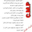 مکمل پرندگان زینتی مدلC.M.P حجم 10میلی لیتر