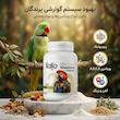 پودر بهبود دهنده سیستم گوارشی پرنده کاکو مدل Vitamineral وزن 200 گرم