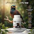 پودر تقویت سیستم ایمنی پرنده کاکو مدل Aminomega وزن 200 گرم