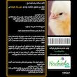 غذای خشک جوجه طیور مای برد کد RD وزن 1 کیلوگرم