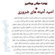 پودره ویتامین و اسید آمینه های ضروری پرنده مدل A+A کد P018V وزن 18 گرم