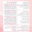 مکمل پرندگان خانگی پارسی لاکت مدل Bird-BC بسته 20 عددی