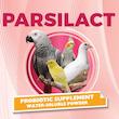 مکمل پرندگان خانگی پارسی لاکت مدل Bird-BC بسته 20 عددی