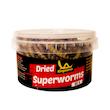 غذای پرنده و ماهی کینگ ورم مدل سوپر میلورم SUPERWORM65 وزن 65 گرم