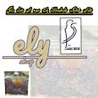 غذای پلت طوطیسانان الی شاپ مدل میوه ای وزن 1350 گرم