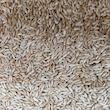 تخم کتان اعتماد خوب غذا پرنده - 900 گرم