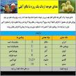 غذای جوجه اردک مدل آیلی کد 06 وزن 1000 گرم