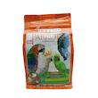 آجیل طوطی سانان تاپ فید مدل LARGE PARROTS وزن 750 گرم