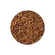 تشویقی مرغ مینا شهرپت مدل Mealworm وزن 100 گرم 