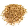 غذای تشویقی پرندگان مای پتز مدل Mealworm وزن 40 گرم