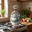  زودپز مدل H10 گنجایش 10 لیتر