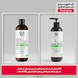 شامپو بدن ساین اسکین مدل Sebo Regulator حجم 280 میلی لیتر