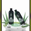 ژل اصلاح مردانه افجه مدل B2 حجم 400 میلی لیتر مجموعه  2 عددی