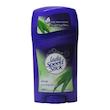 استیک ضد تعریق زنانه لیدی اسپید مدل aloe protection وزن 45 گرم