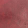 پاف مدل PA6312