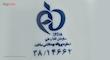 شامپو براق کننده مو هیدرودرم مدل Ginkgo Biloba مناسب موهای فر، حاوی عصاره آرگان و آووکادو، حجم 250 میلی‌لیتر