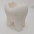 جامسواکی مدل tooth