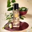 بادی اسپلش زنانه مردیت مدل lancome حجم 250 میلی لیتر