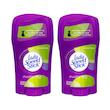 استیک ضد تعریق زنانه لیدی اسپید استیک مدل Powder Fresh وزن 40 گرم مجموعه 2 عددی