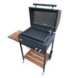 باربیکیو اصلان مدل M60 گازی ذغالی