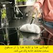 بخارشوی کرشر مدل SC2 Easy Fix