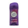 استیک ضد تعریق زنانه لیدی اسپید مدل  Invisible Dry Shower Fresh وزن 65 گرم