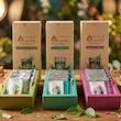 قرص جوشان ویژه احیا گیاهان زینتی آسیب دیده عالینو مدل Anti-stress وزن 60 گرم بسته 12 عددی
