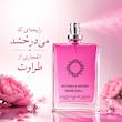 ادوپرفیوم زنانه هارلینگن مدل ویکتوریا سکرت بامب شل با رایحه خنک و معتدل حجم 55 میلی‌لیتر