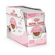 پوچ گربه رویال کنین مدل kitten gravy وزن 85 گرم بسته 12 عددی