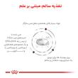 غذای خشک گربه رویال کنین مدل Hepatic S/O Index هپاتیک وزن 2 کیلوگرم