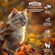 غذا خشک گربه بالغ پتچی مدل مرغ و ماهی وزن 3.7 کیلوگرم