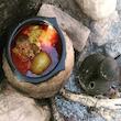 ظرف دیزی مدل طبیعت کد 1010