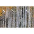 پوستر سه بعدی ژیوار کد NA-6300