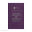 ادو پرفیوم زنانه بایلندو مدل Amethyst حجم 100 میلی لیتر