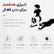 دانه قهوه 30 درصد عربیکا 70 درصد روبوستا باتنر مونت - 250 گرم
