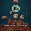 دانه قهوه عربیکا پلنتیشن هند 2A میدیوم رست قهوه پندار - 1 کیلوگرم