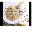 پودر جوانه گندم دهکده سبز سلامت - 500 گرم
