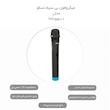 میکروفون بی سیم تسکو مدل TMIC5500 