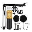 میکروفون استودیویی مدل BM800 به همراه کارت صدا V8
