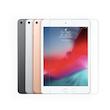محافظ صفحه نمایش بادیگارد مدل TabG مناسب برای تبلت اپل iPad Mini 5
