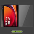 محافظ صفحه نمایش مولتی نانو مدل X-S2N مناسب برای تبلت سامسونگ Galaxy Tab S9 Plus بسته دو عددی