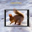 محافظ صفحه نمایش اي اِس آر مدل 7151 مناسب برای تبلت اپل iPad 10.2 / iPad Pro 10.5 / iPad Air 10.5
