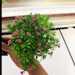 درختچه مصنوعی بونسای، ابعاد 25×5×5 سانتی‌متر، وزن 100 گرم