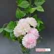 گل مصنوعی بوته داوودی 6 گل، جنس پارچه، ابعاد 20×20×35 سانتی‌متر، وزن 70 گرم
