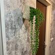 گلدان حصیر بافی مدل حصیری کنفی