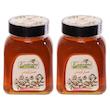 عسل طبیعی آویشن زاگرس رویال کندو کوهرنگ - 900 گرم بسته 2 عددی