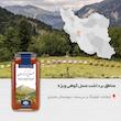 عسل طبیعی چهل گیاه کوهستان فروردین - 650 گرم