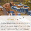 عسل طبیعی چهل گیاه کوهستان فروردین - 650 گرم