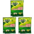 پودر سوسک کش گرین لیف مدل SX-05 وزن 5 گرم مجموعه 3 عددی